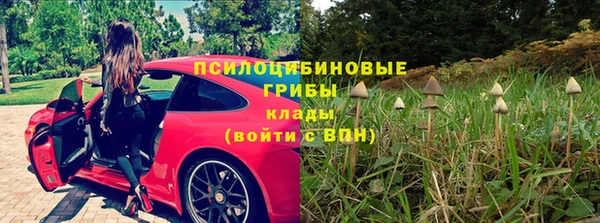 2c-b Абдулино