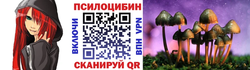 наркота  мега ссылки  Галлюциногенные грибы Cubensis  Мостовской 